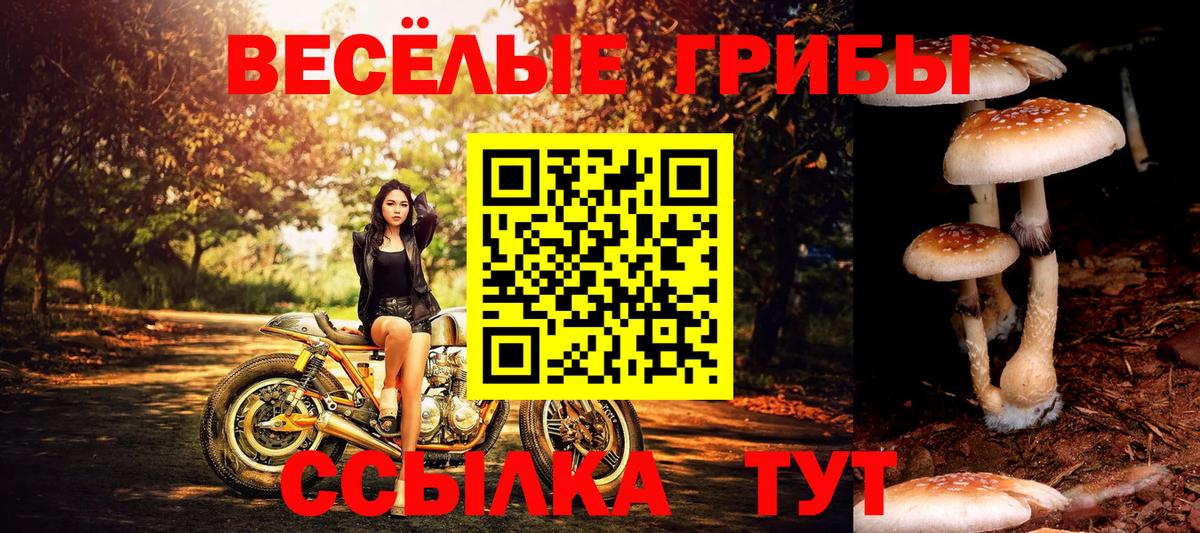 Галлюциногенные грибы Magic Shrooms  Вход с VPN  Дубна  Псилоцибиновые грибы мухоморы 